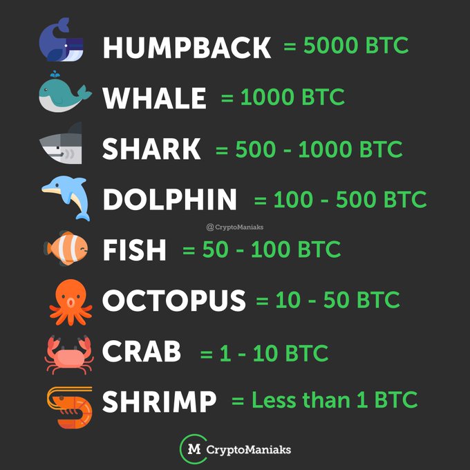 En este momento estás viendo Los diferentes animales en el universo Bitcoin y de las Criptomonedas