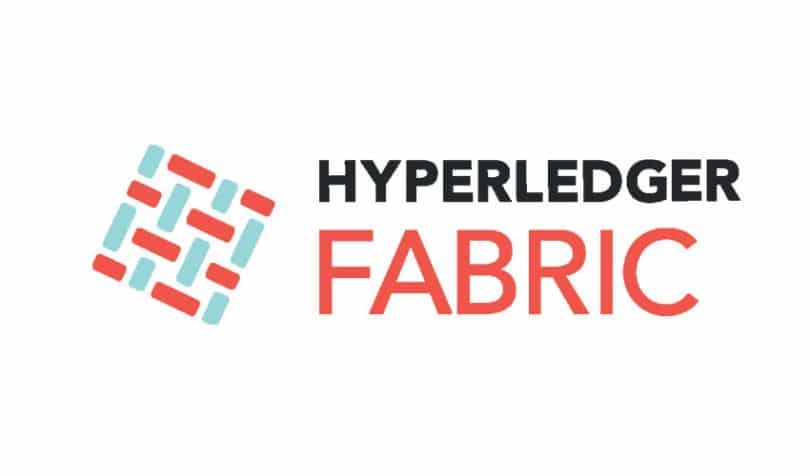 En este momento estás viendo Hyperledger: una blockchain sostenible y de consenso para el mundo empresarial.