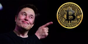 Lee más sobre el artículo Dogecoin usa el mismo algoritmo que Bitcoin y está muy centralizado. ¿Elon porque te quejas? OMG